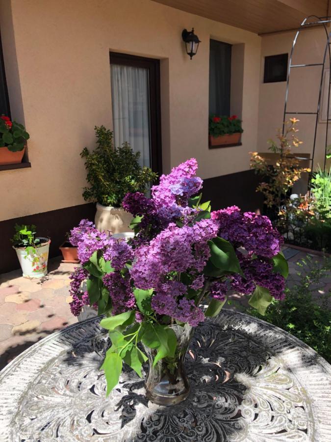 Milla Apartman Szentendre Exteriér fotografie