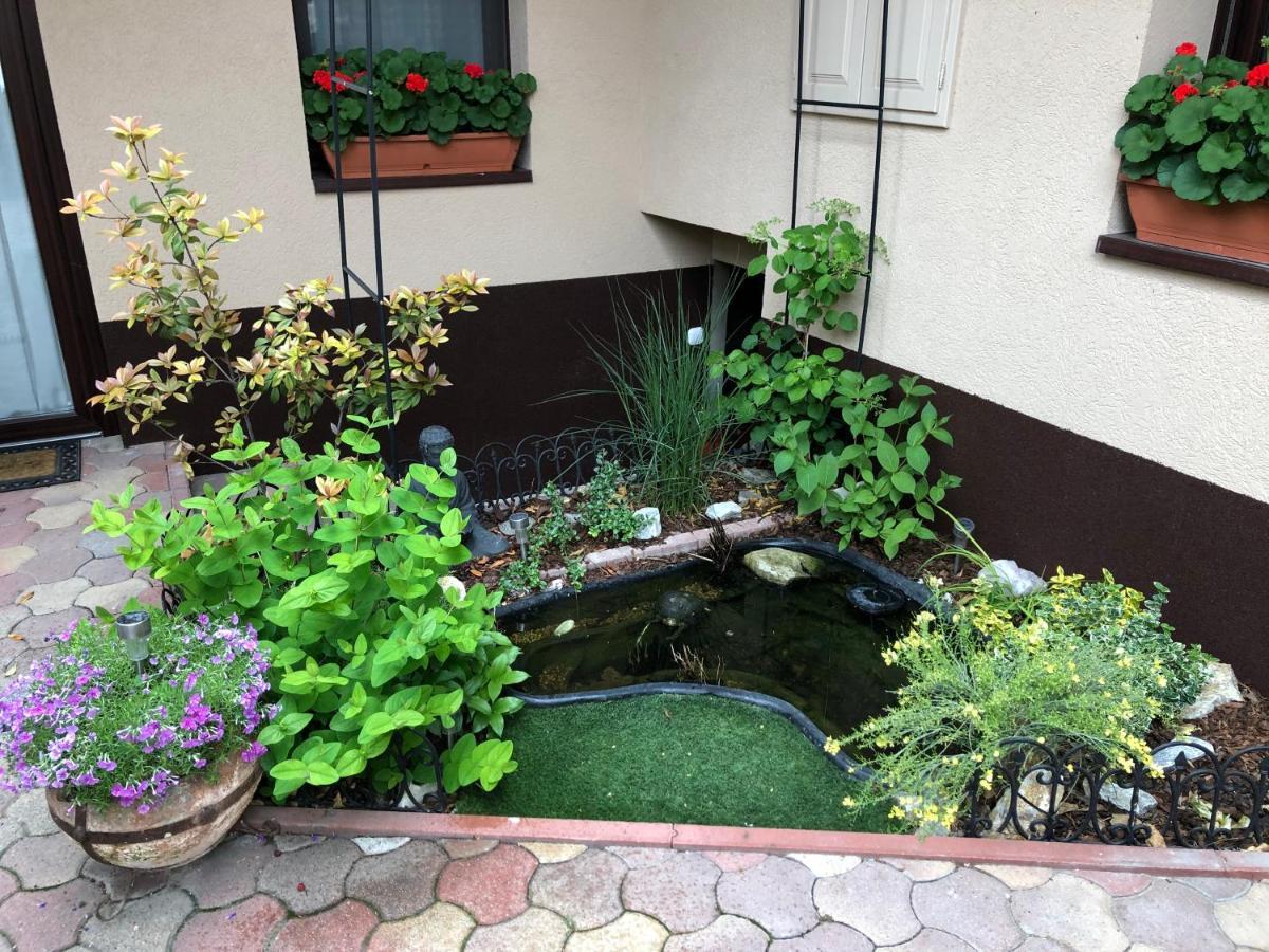 Milla Apartman Szentendre Exteriér fotografie